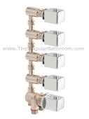 Thermostatic Wellnes with 4 way diverter