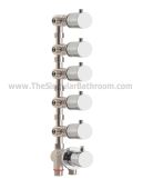Thermostatic Wellnes with 5 way diverter
